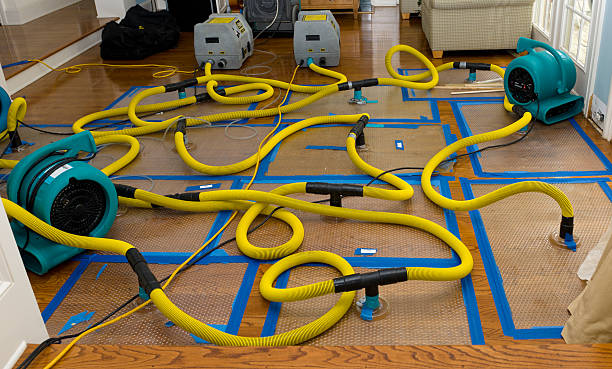 Professional Crawl Space Water Removal technician working in Washburn, TN